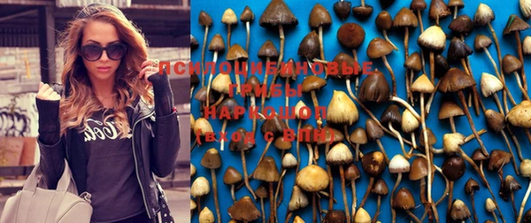 первитин Балахна