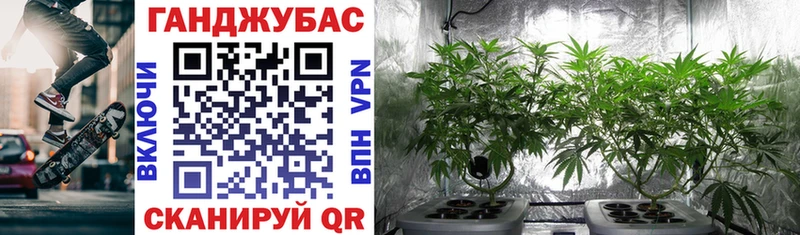 закладки  Белёв  Каннабис White Widow 